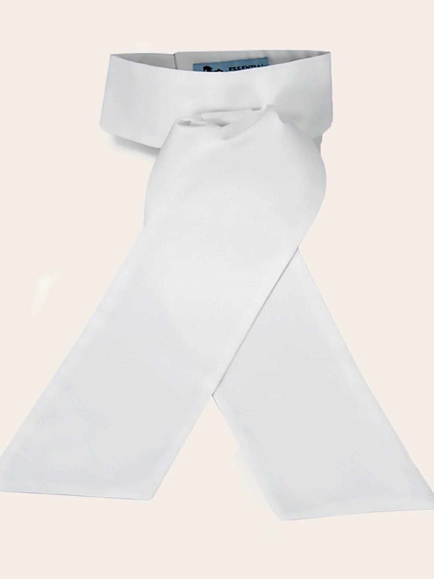 RJC Camden Pre-Tied Stock Tie