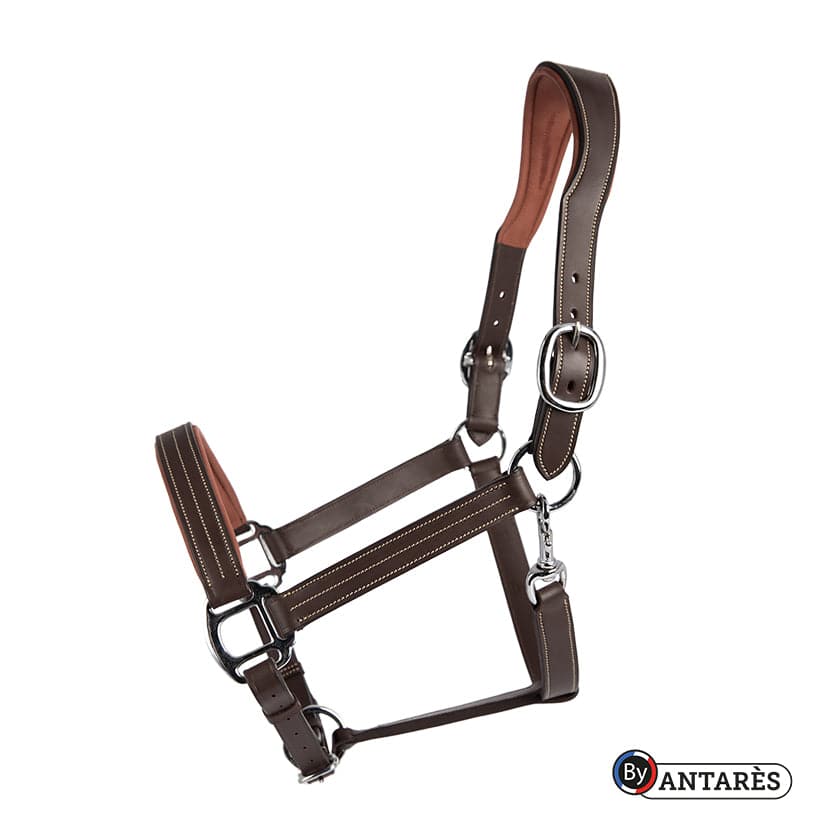 Antares Signature Anatomic Leather Halter