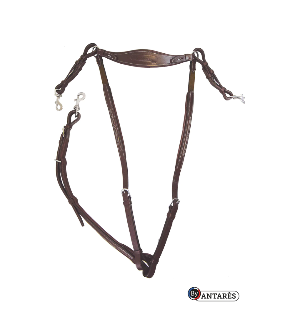 Antares Breastplate with Bridge