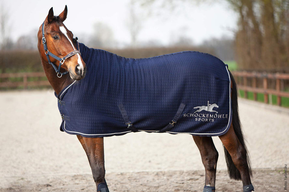 Schockemoehle Heat Balance Rug