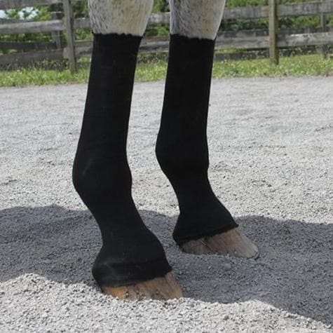 HorseSox