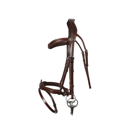 Antares Signature Sport Flash Bridle