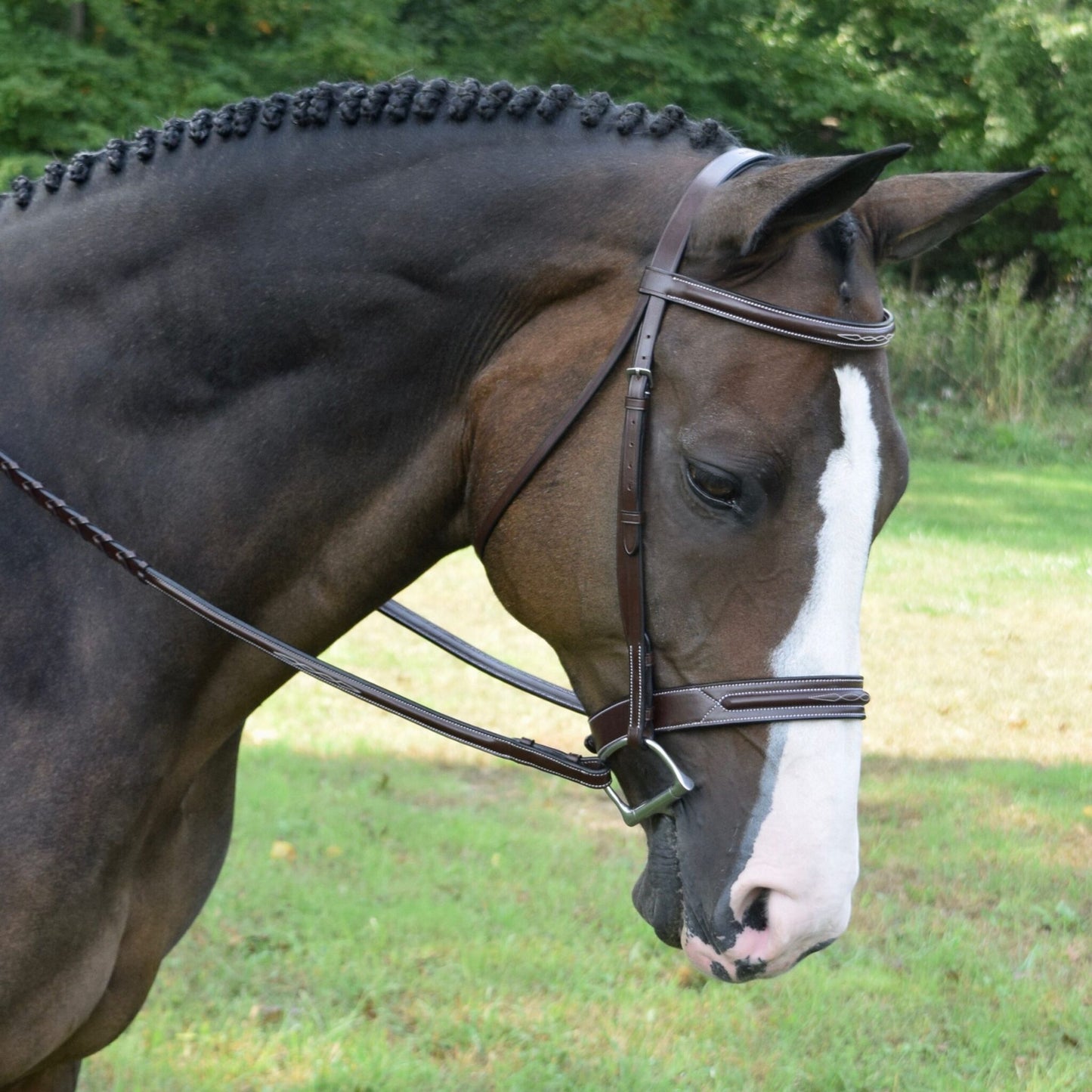 Red Barn Sonoma Bridle