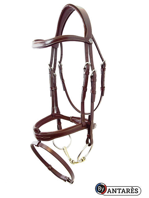 Antares Signature Flash Noseband Bridle