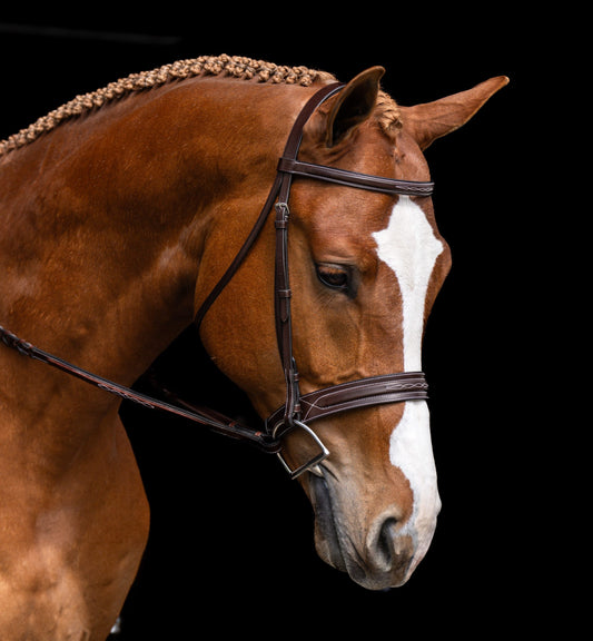 Red Barn Hudson Bridle