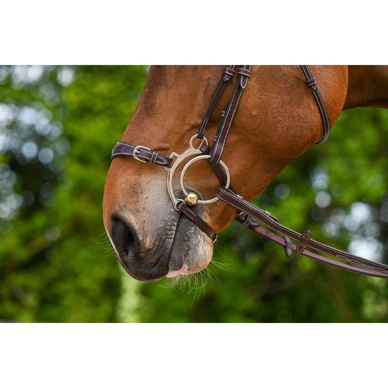 Jump'In Hackamore Drop Noseband