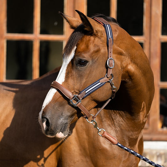 Antares Stress Less Halter